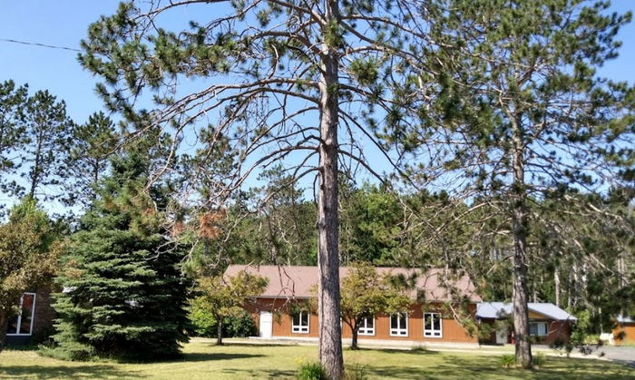 Castlewood Inn & Suites (Best Western Tony Londons, Tony Londons Roadhouse) - From Web Listing (newer photo)